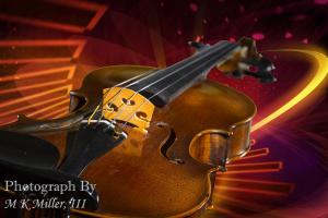 Studio Photographs of Violins and Violas
